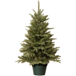 Picture of 5 FEET CHRISTMAS TREE (PRE ORDER)