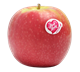 Picture of APPLE PINK LADY LGE
